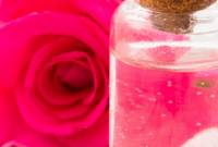 Ulasan Toner Rosewater Pure oleh Nur Kamelia Botanicals